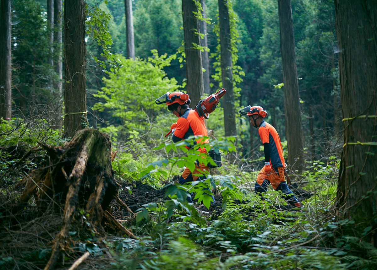 森林の仕事、林業で働きたい方の就業を支援『緑の雇用』RINGYOU.NET