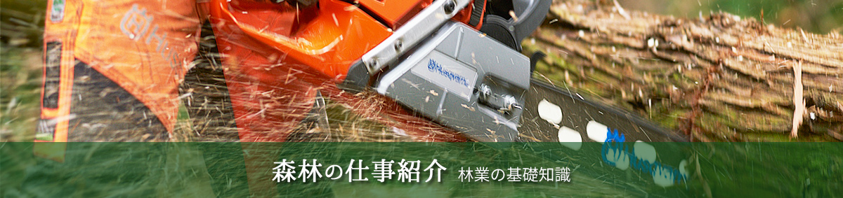 森林の仕事紹介~林業の基礎知識~