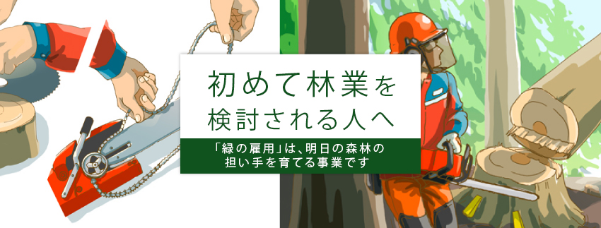 初めて林業を検討される人へ 新たな森林 林業の担い手を応援 緑の雇用 ウェブサイト Ringyou Net